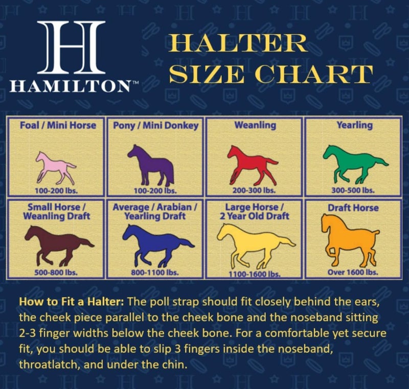 Hamilton Deluxe Horse Halter, 1" Triple Ply Nylon, Yearling or Standard Donkey, 300-500 lbs, Berry Blue - Image 3